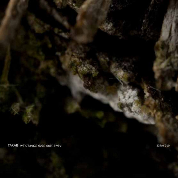 WIND KEEPS EVEN DUST AWAY