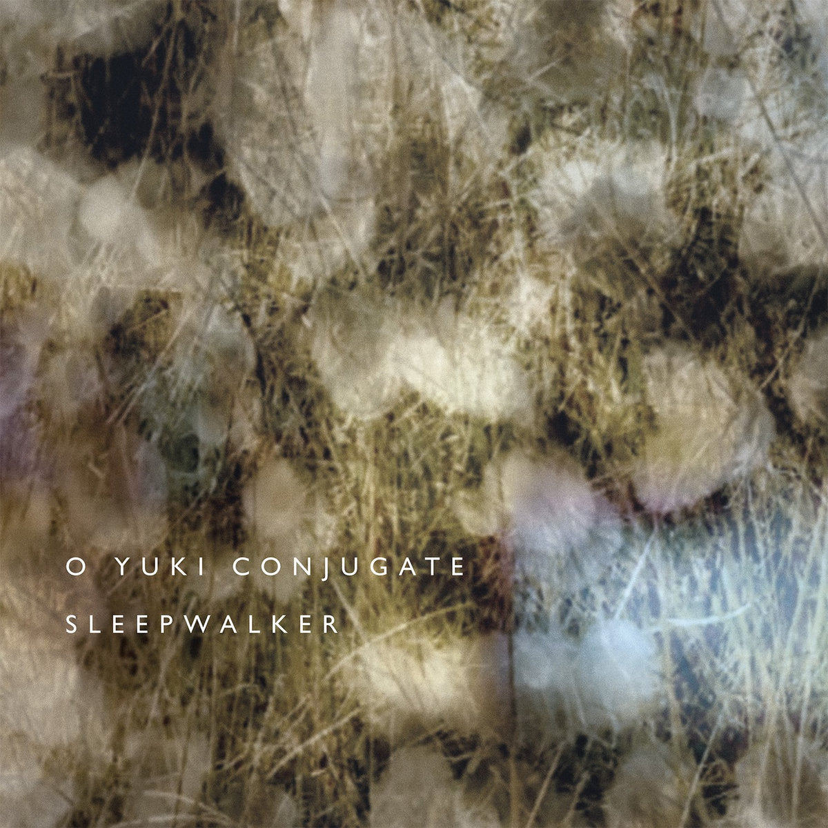 SLEEPWALKER
