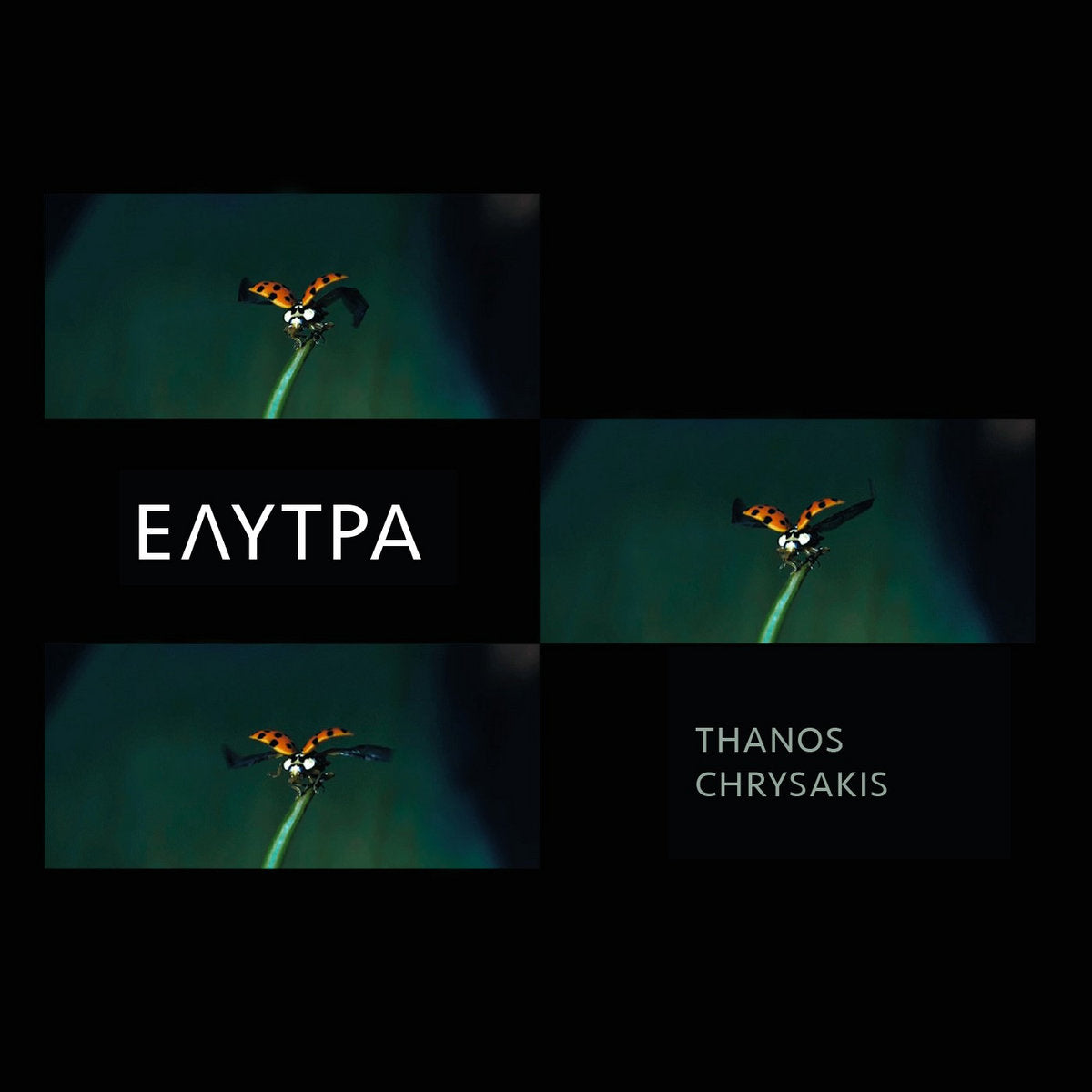 ELYTRA