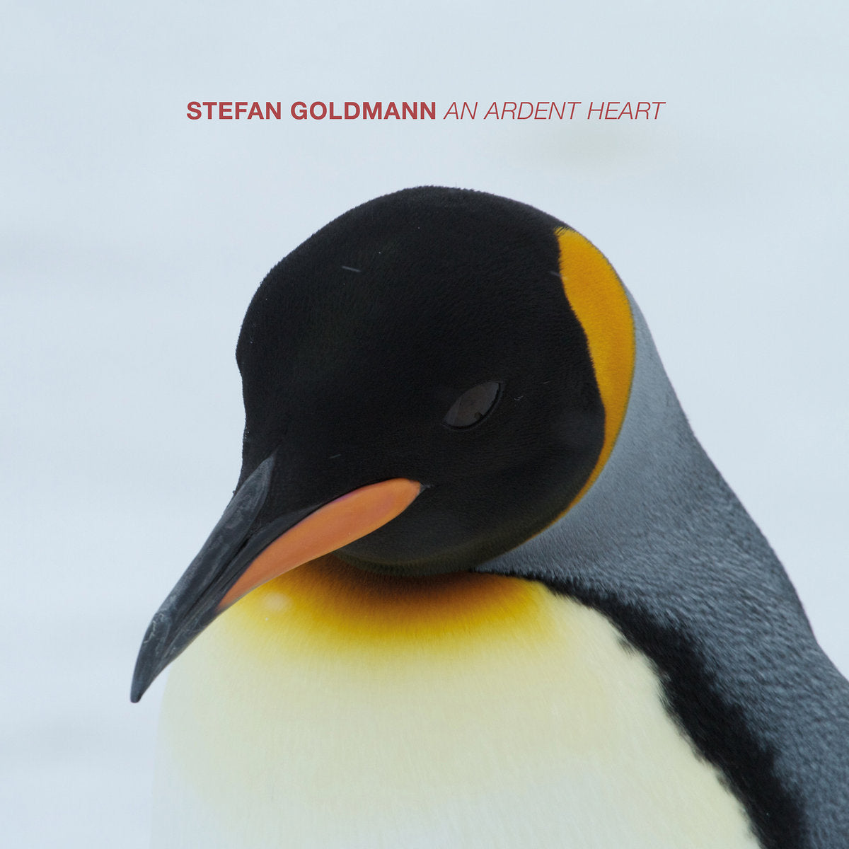 AN ARDENT HEART