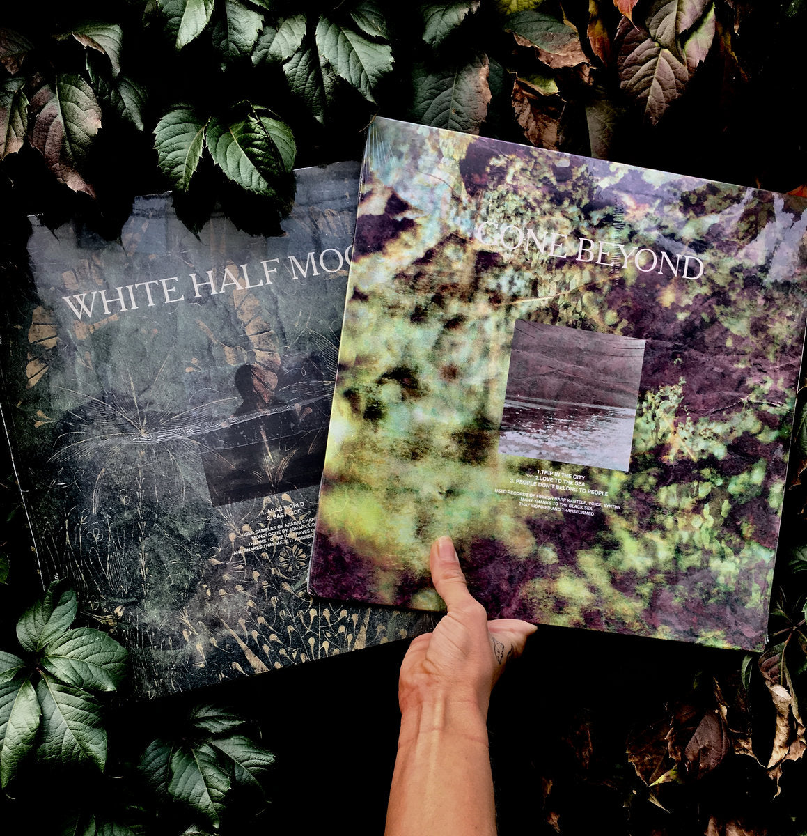 WHITE HALF MOON / GONE BEYOND