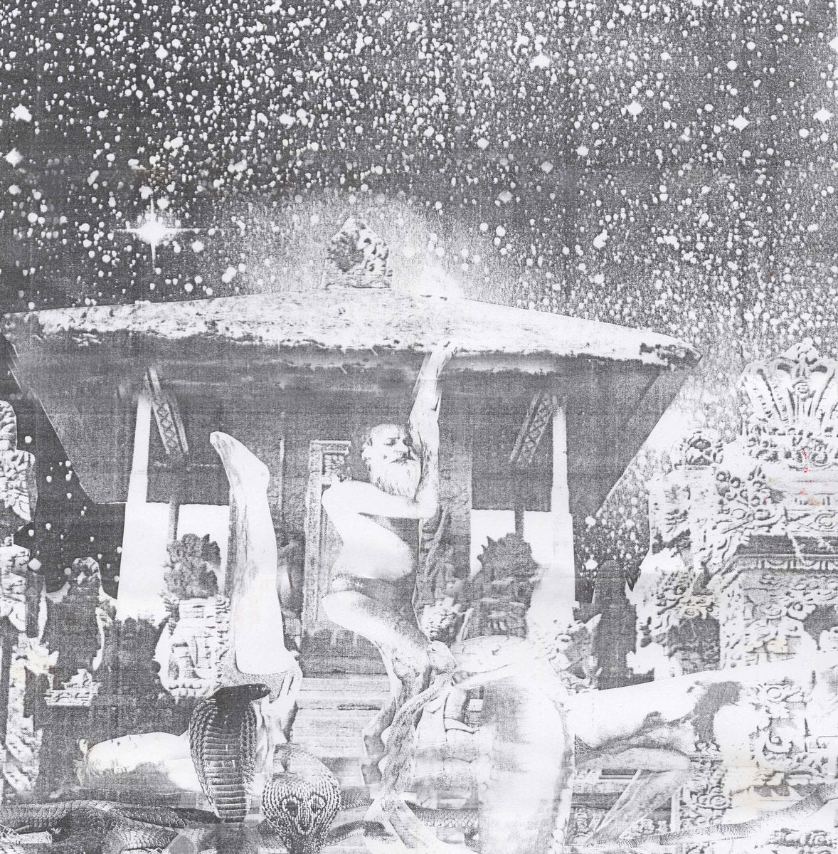 Snakinist Sand Form/No Jaw Nite Rights