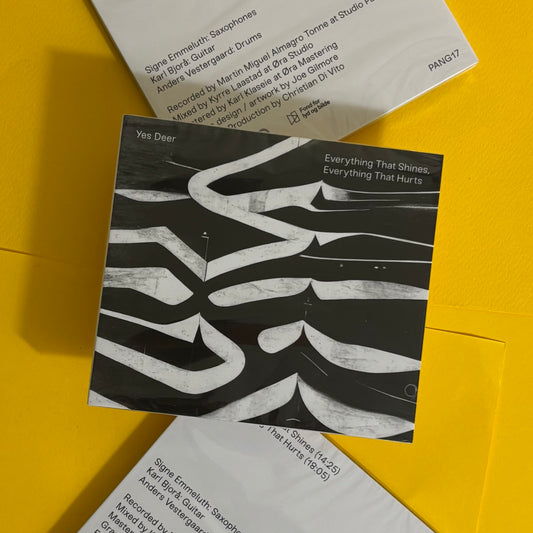 EVERYTHING THAT SHINES, EVERYTHING THAT HURTS