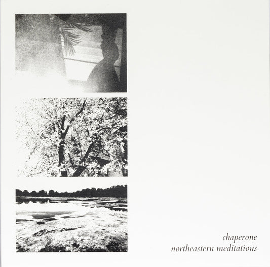 NORTHEASTERN MEDITATIONS