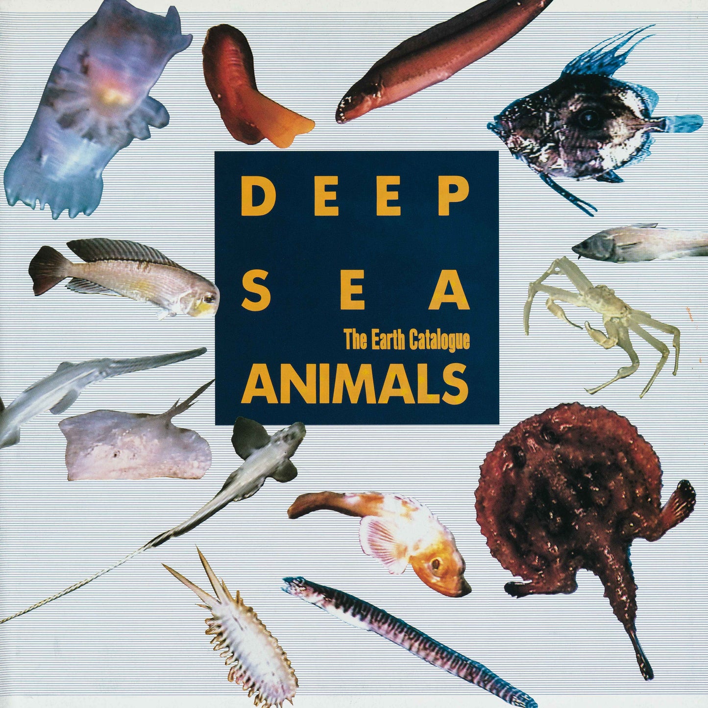 DEEP SEA ANIMALS OST