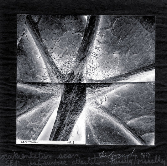 STITCHING IN PROCESS: WINDMIXED DATA