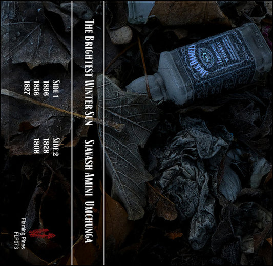 THE BRIGHTEST WINTER SUN