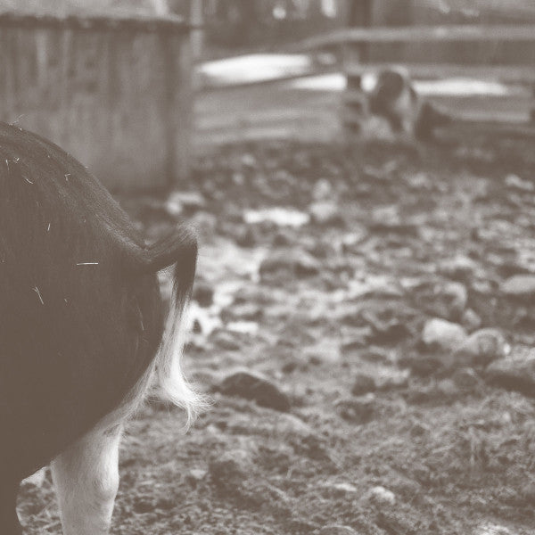 TOMORROW IS TOO LATE