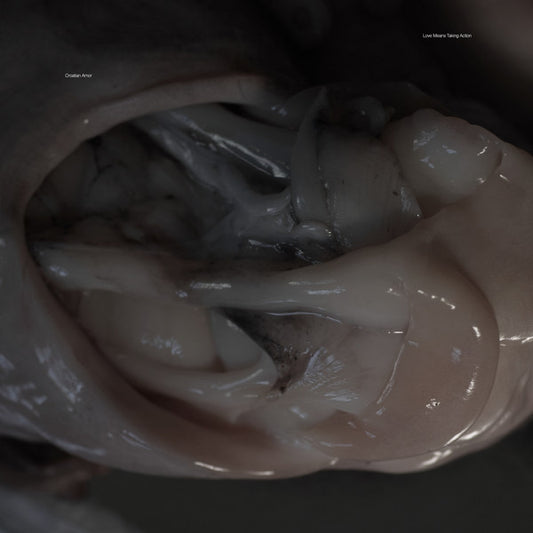 LOVE MEANS TAKING ACTION