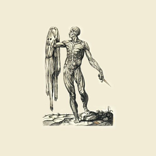 OBSERVATION OF BREATH