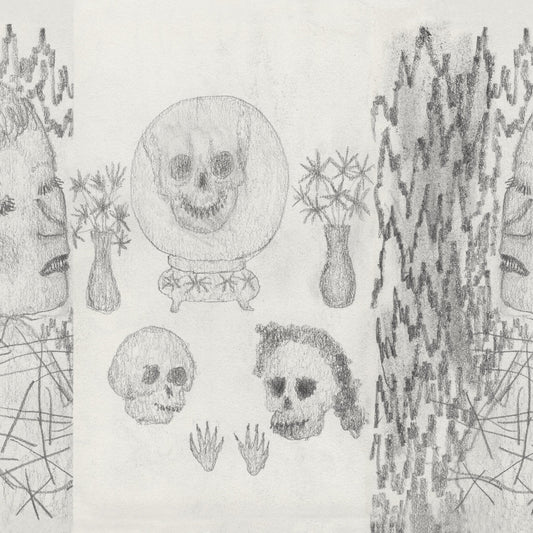 MUZEUM HISTORII NATURALNEJ