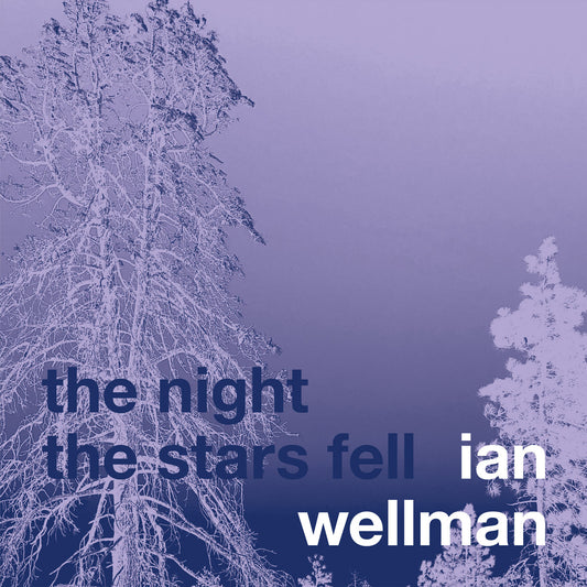 THE NIGHT THE STARS FELL