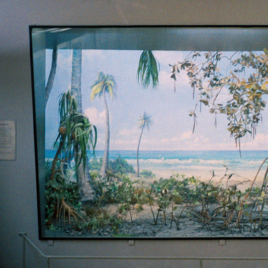 NOSTALGIA POR MESOZOICA