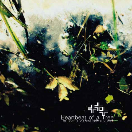 The Sun is playing hide-and-seek