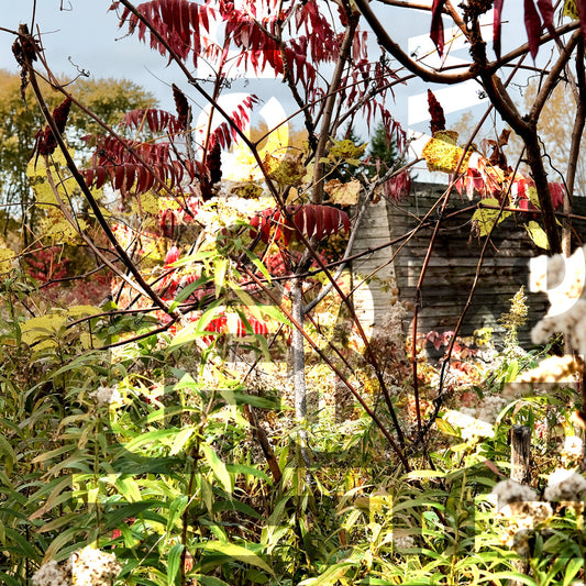 NEW TENDENCIES EVERYWHERE