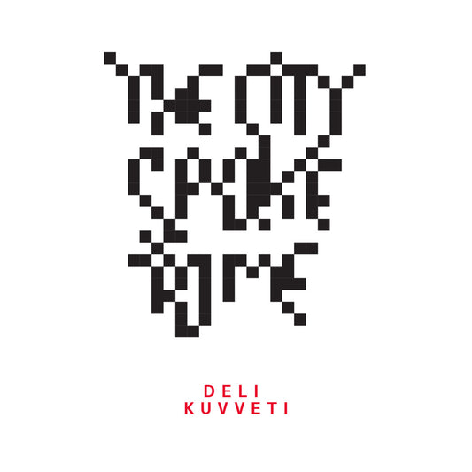 THE CITY SPOKE TO ME