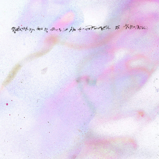 QUIXOTISM OF A PUDDLE SPOKEN IN THE MIND