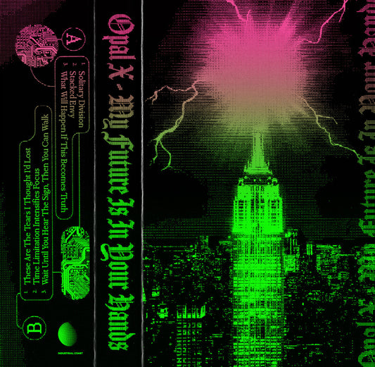 MY FUTURE IS IN YOUR HANDS