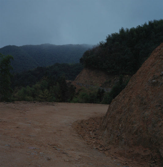 FATHER, AND A WILD TRAIL ZIGZAGGING DOWN