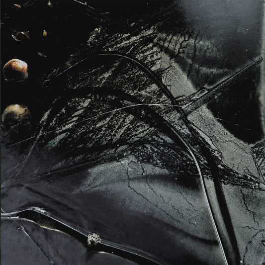 LE MANTEAU DES ETOILES