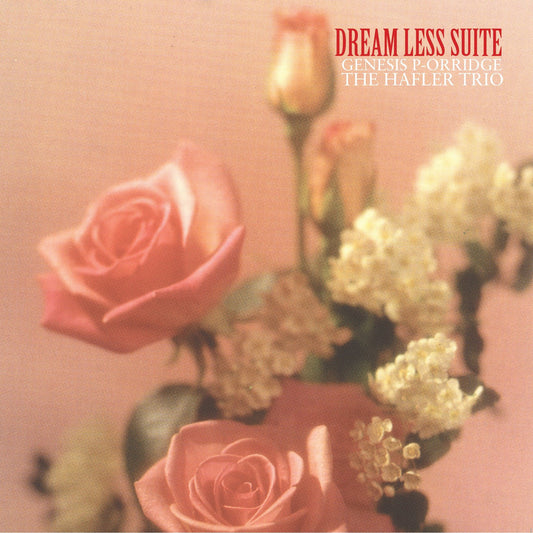DREAM LESS SUITE